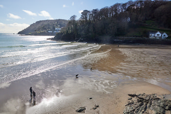 North Sands Sun This landscape photograph captures Salcombe North Sands Beach on the coast of Devon, England, United Kingdom, in the early afternoon during winter. The main subject is North Sands Sun, with the beach gently curving along the shoreline and the sun reflecting off the wet sand and shallow waves. There are people walking with dogs, and several animals are visible enjoying the coast. The backdrop shows tree-lined hills and residential buildings nestled among the woodland typical to this part of Devon. The image showcases the natural beauty of Salcombe North Sands, highlighting its popularity among visitors and locals for dog walking and beach activities.
